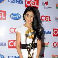 Shriya Saran new pictures | Picture 47248